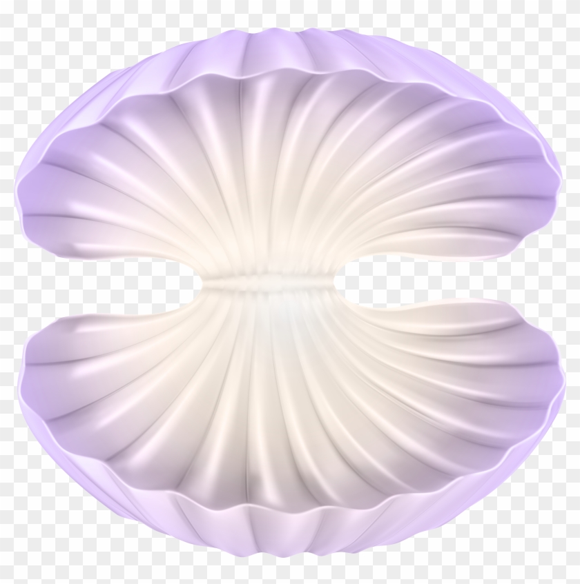 Jpg Transparent Open Clam Clipart - Open Shell Transparent Background - Png Download #3065577