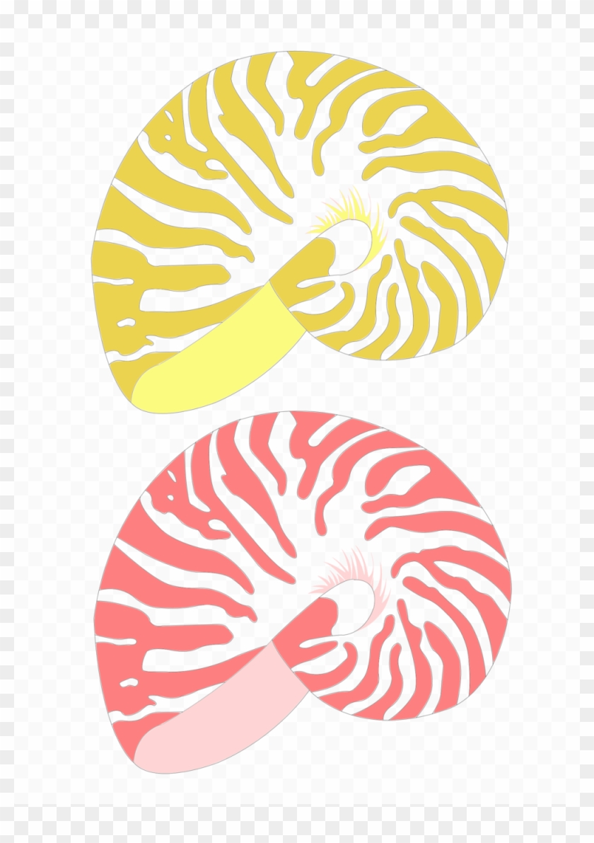 Shells Png Clipart