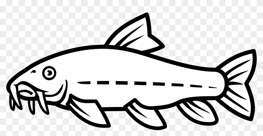 Catfish - Catfish Line Drawing Clipart
