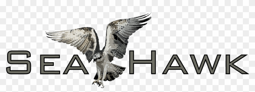 Hawk Clipart