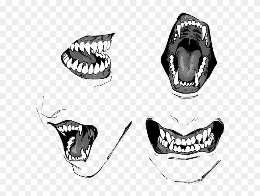 Teeth Human Drawing Clipart #3069283