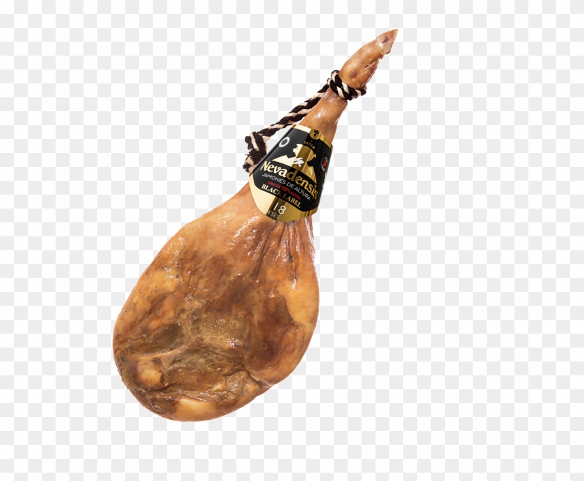 Jamon Serrano Sin Fondo Clipart #3070010