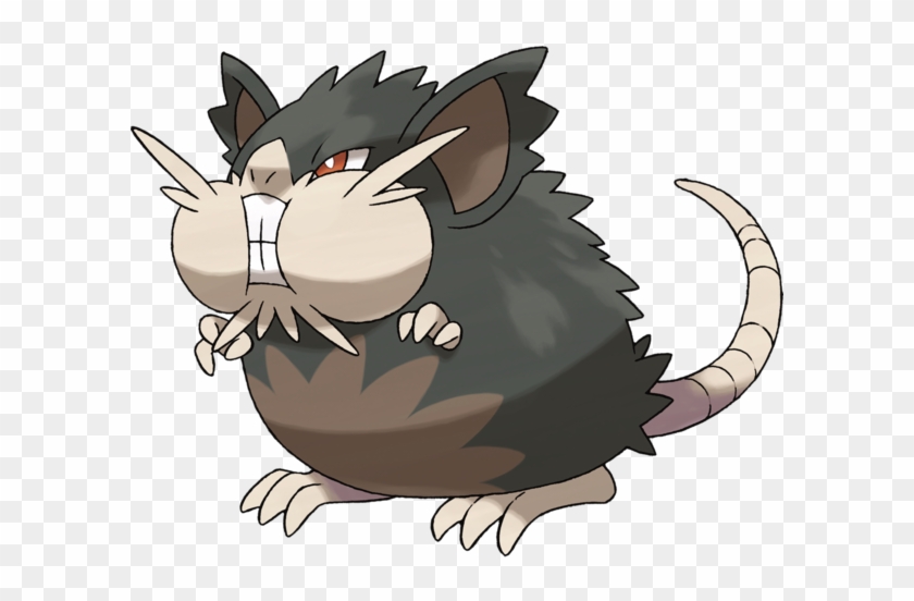 I Never Thought I Would Actually Be Seriously Writing - Alolan Raticate Clipart #3070231