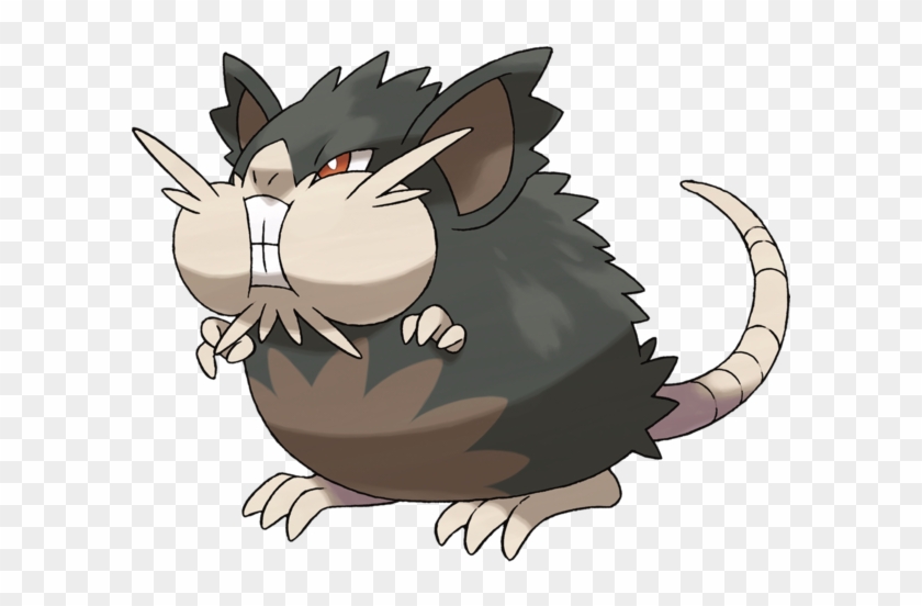 I Never Thought I Would Actually Be Seriously Writing - Alolan Raticate Clipart