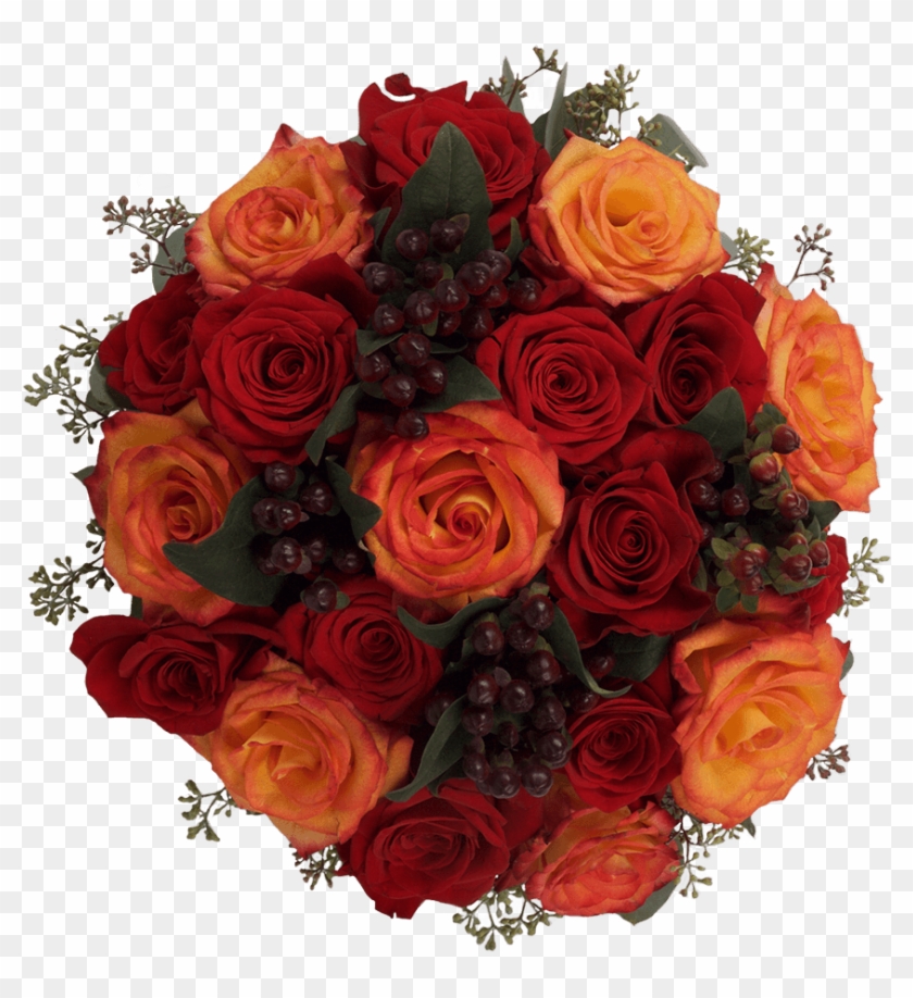 Pumpkin Pie - Garden Roses Clipart