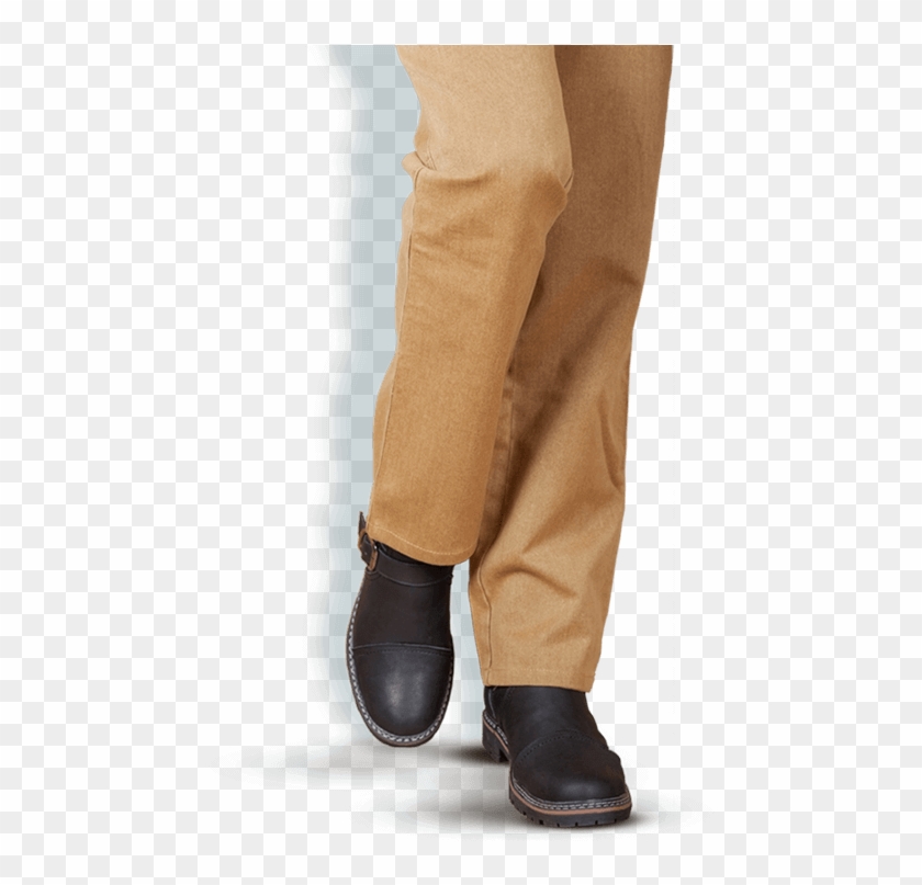 Prime Pet Insurance - Suede Clipart