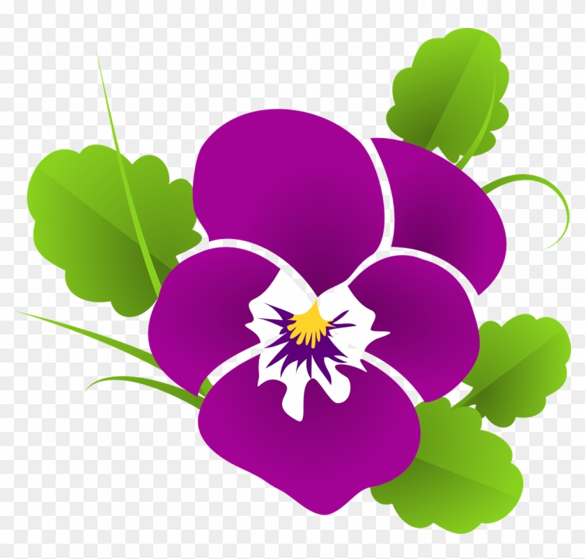 Pansy Violet Viola Violaceae Png Image - Pansies Clipart Transparent Png #3071025
