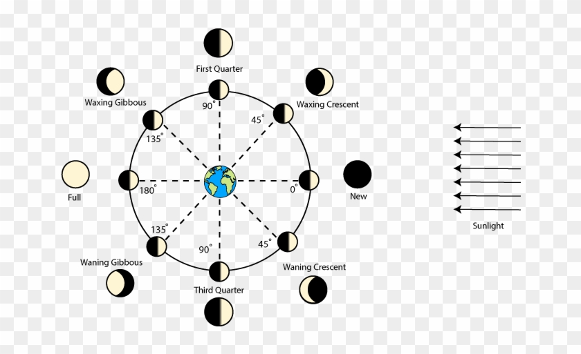 Causes Of Science Project Education Com Diagram - Moon Phases With Degrees Clipart #3071404