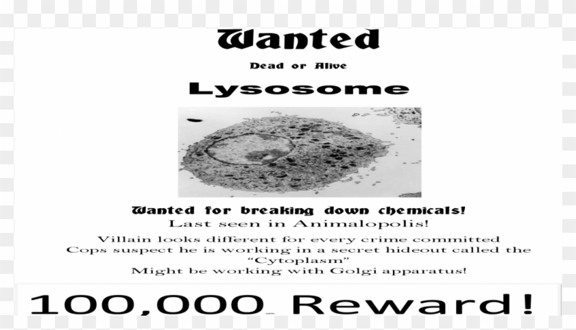 Wanted Poster For Lysosomes Clipart #3071587
