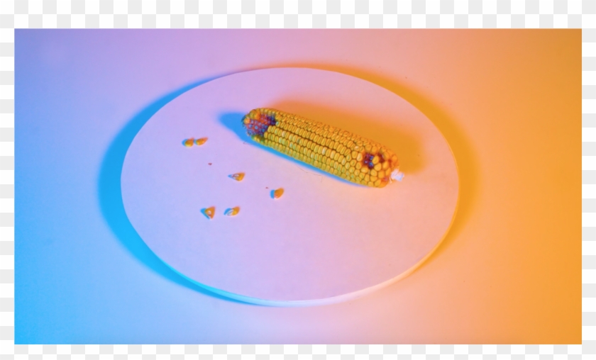 Farm Machine Used For Harvesting Crops Separates The - Circle Clipart