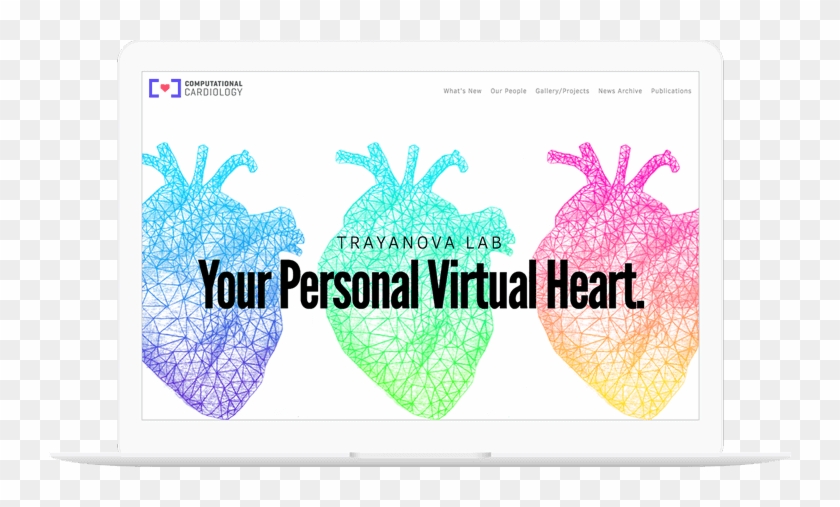 Computational Cardiology Website Displayed On A Computer - Illustration Clipart