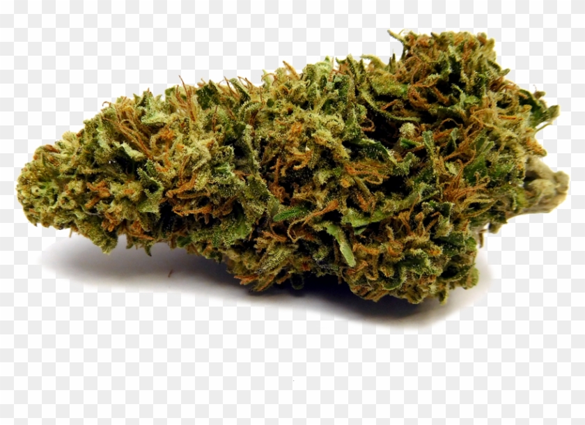 Tahoog Nobg - Moss Clipart #3074024