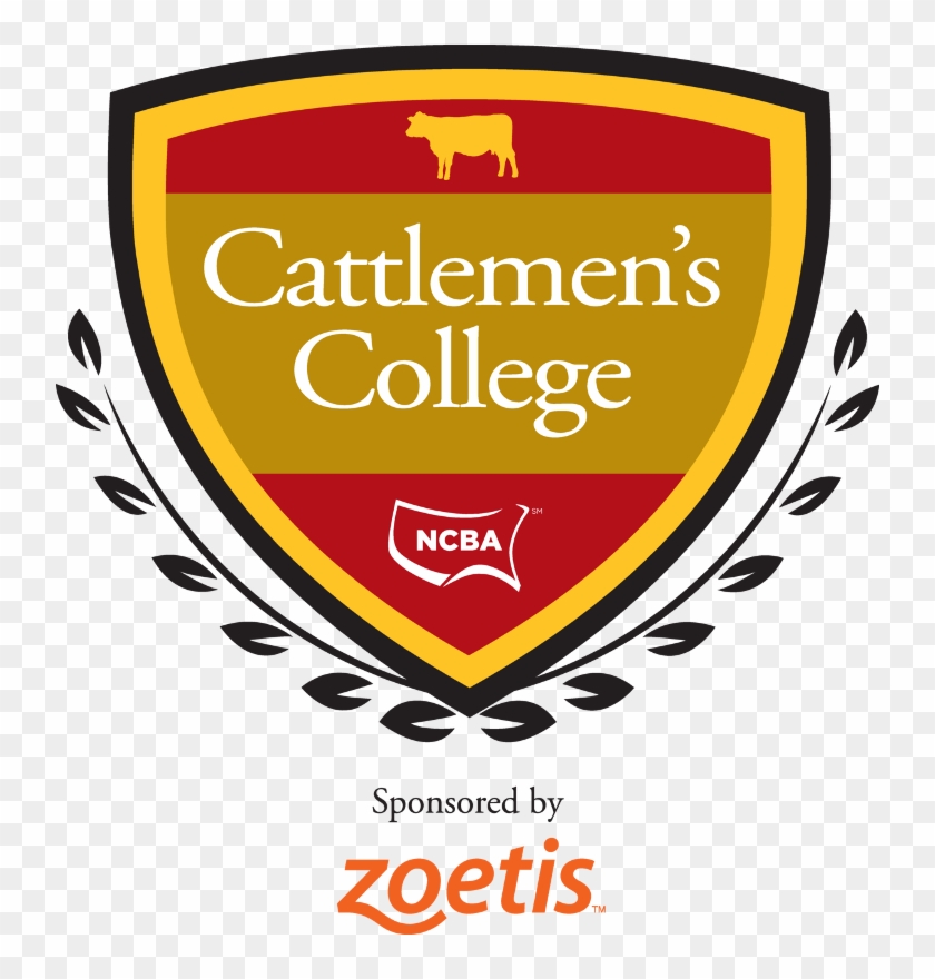 College - Zoetis Clipart #3074058