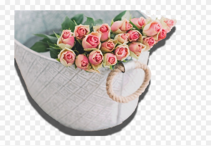 Pink Rose Flower Background Hd Rose , Png Download Clipart