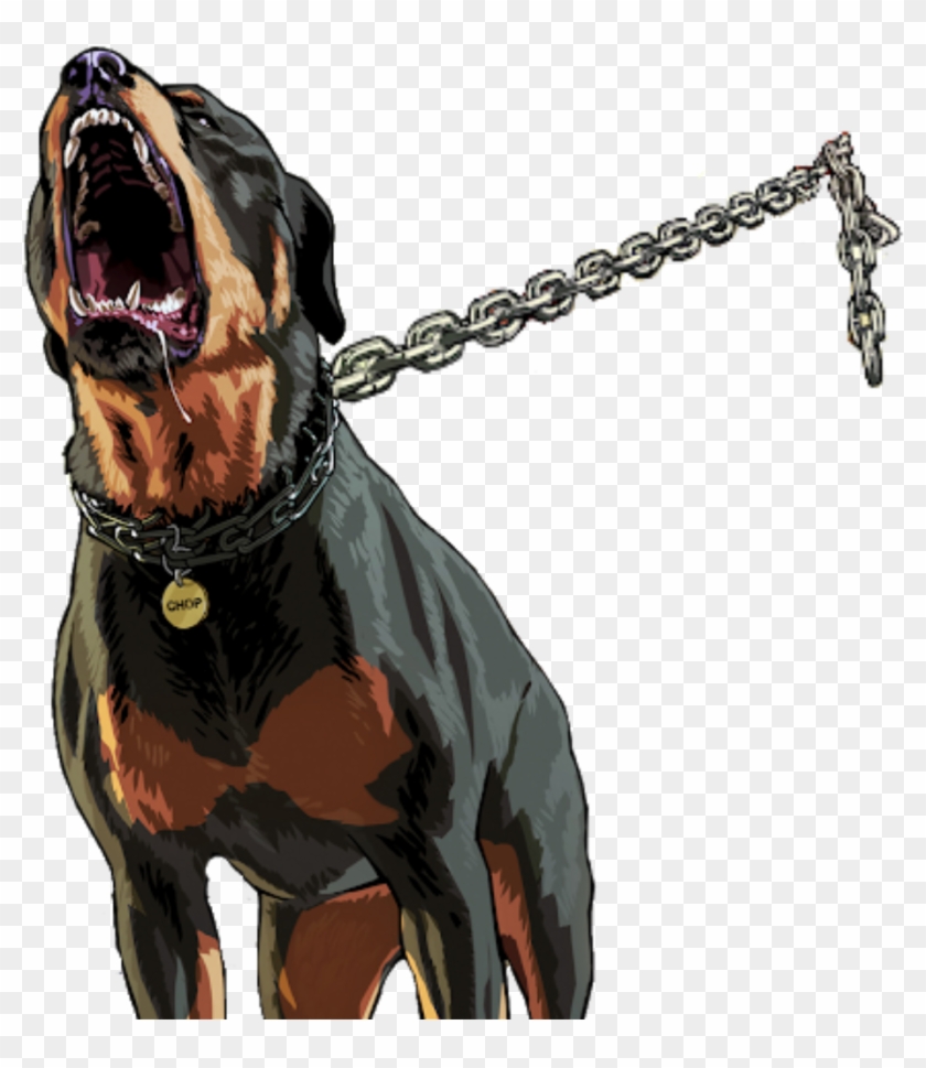 #rottweiler #dog #cão #chains #correntes @lucianoballack - Gta V Chop Png Clipart #3078910