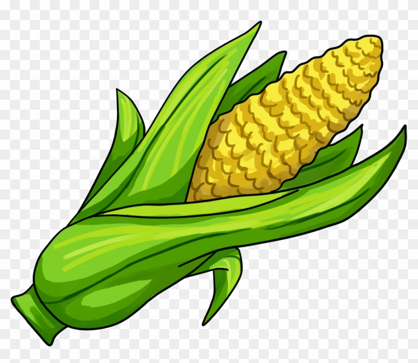 Corn On The Cob Maize Clip Art - Sweet Corn Drawing Png Transparent Png #3079096