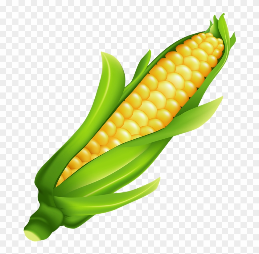 Ear Of Corn Clipart - Png Download