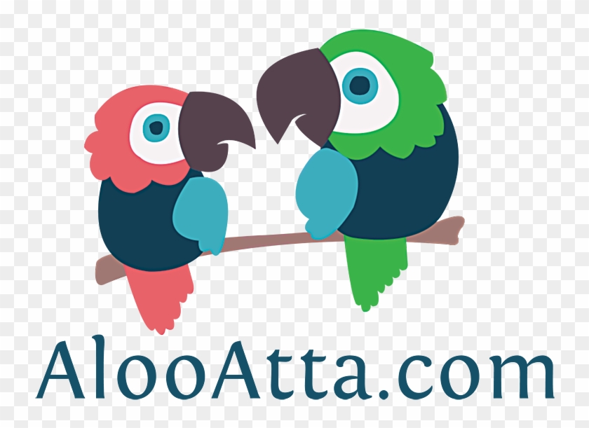 Search - Parrot Clipart