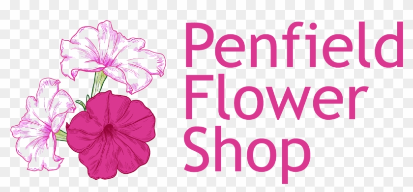 Penfield Flower Shop - Hawaiian Hibiscus Clipart