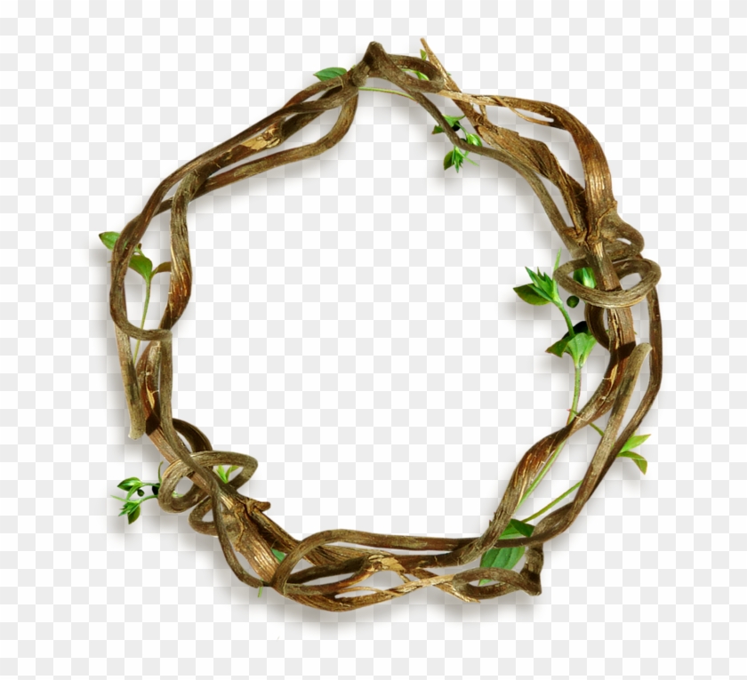 Фотки Nature Plants, Boarders, Planting Flowers, Circles, - Bracelet Clipart #3080121