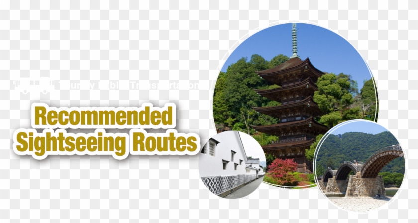 Code De La Route Clipart