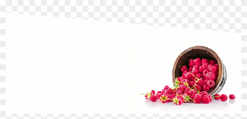 Family Owned & Operated Since - Love Lies Bleeding Clipart