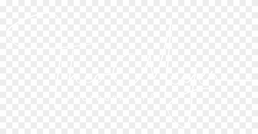 Theo Meijer Photography - Johns Hopkins Logo White Clipart #3082225