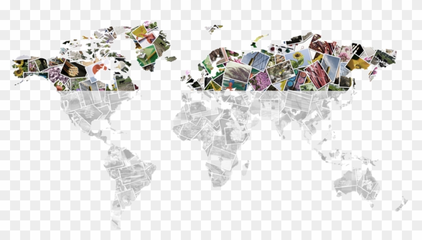 Map - Lenguaje En El Mundo Clipart