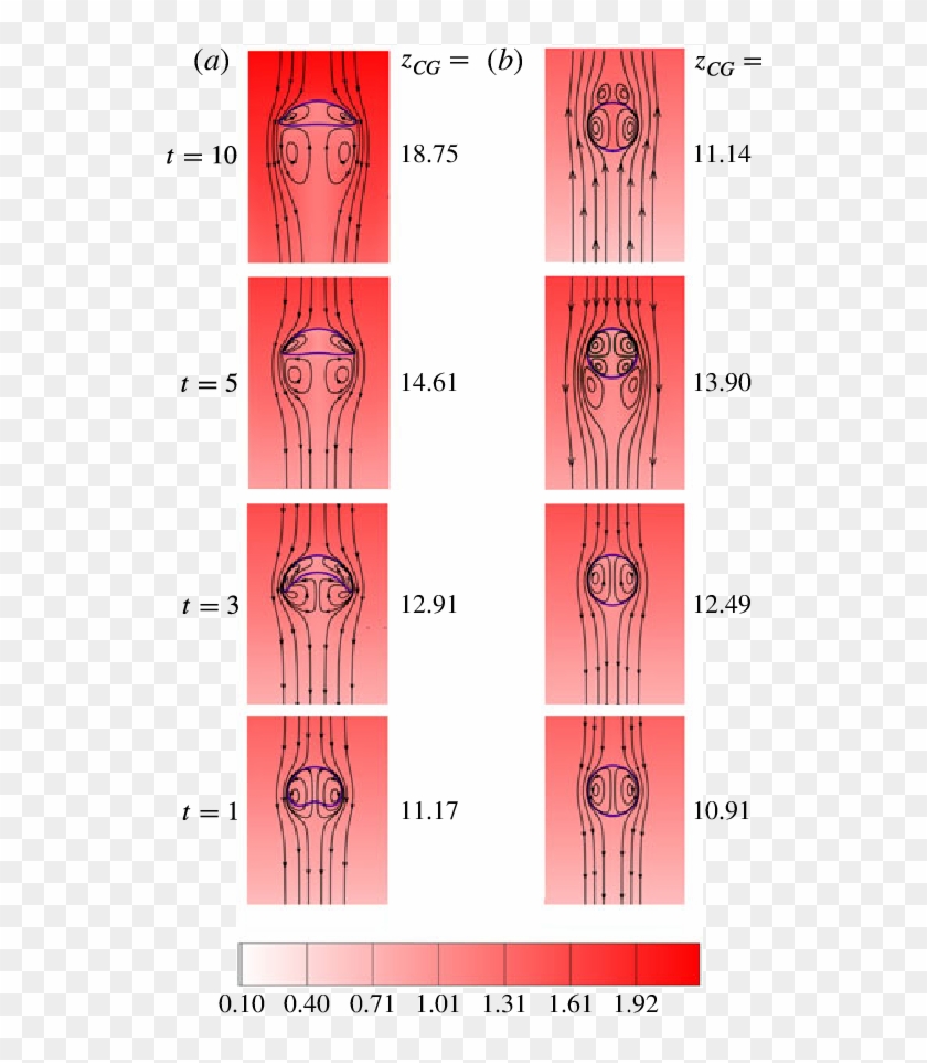 Evolution Of Bubble Shape (solid Blue Line), Streamlines - Door Clipart #3084371