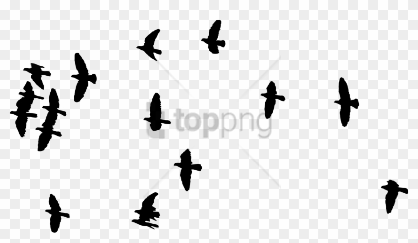 Free Png Flock Of Birds Silhouette Png Image With Transparent - Silhouette Of Flock Birds Clipart