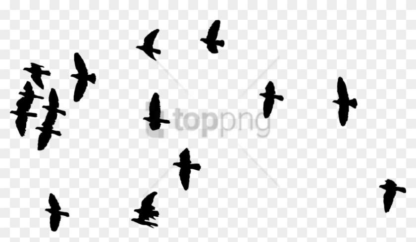 Free Png Flock Of Birds Silhouette Png Image With Transparent - Silhouette Of Flock Birds Clipart #3085023