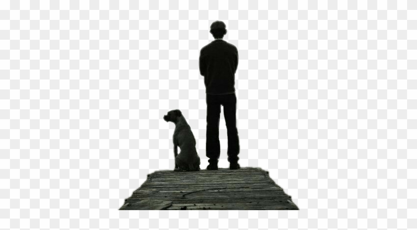 #ftstickers #silhouette #man #dog #standing - Companion Dog Clipart #3085231