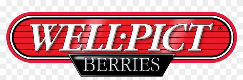 Well Pict Logo Clipart