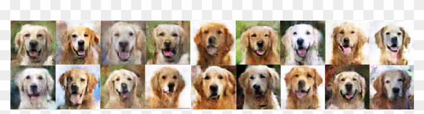 The Experiment Was Simple - Golden Retriever Clipart #3089024