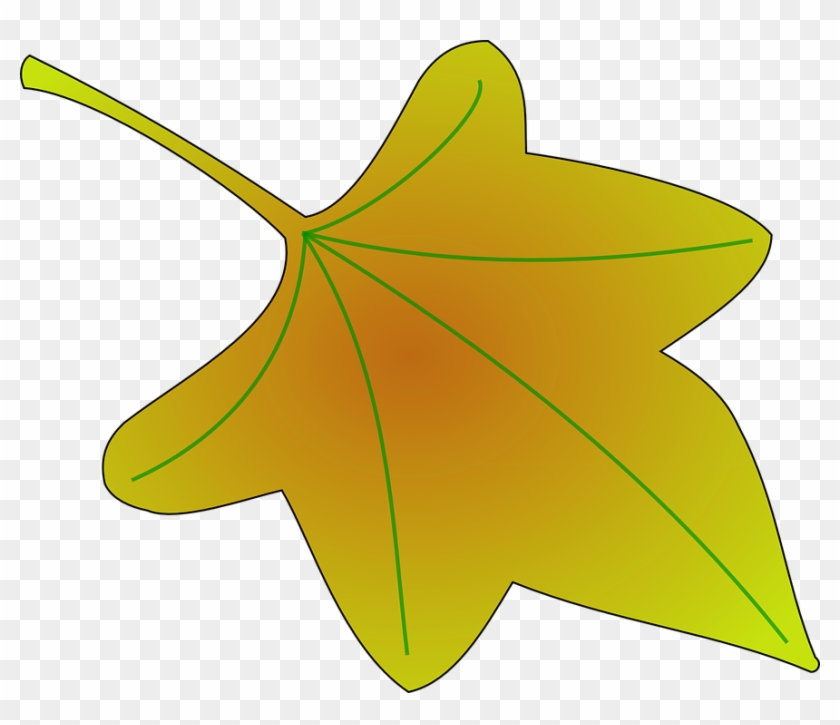 Leaf Plant Vine - Grapes Leaves Clipart - Png Download #3089191