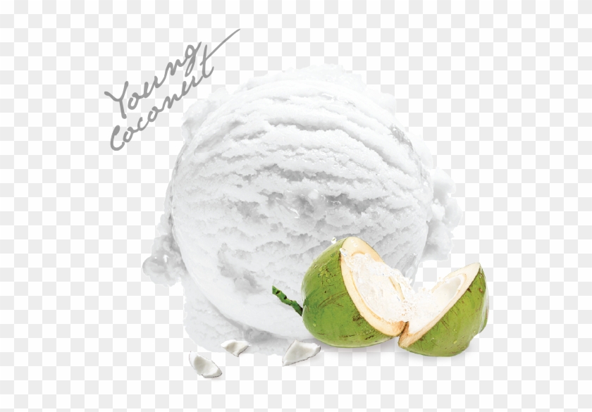 Fragrant Coconut - Soy Ice Cream Clipart #3090275