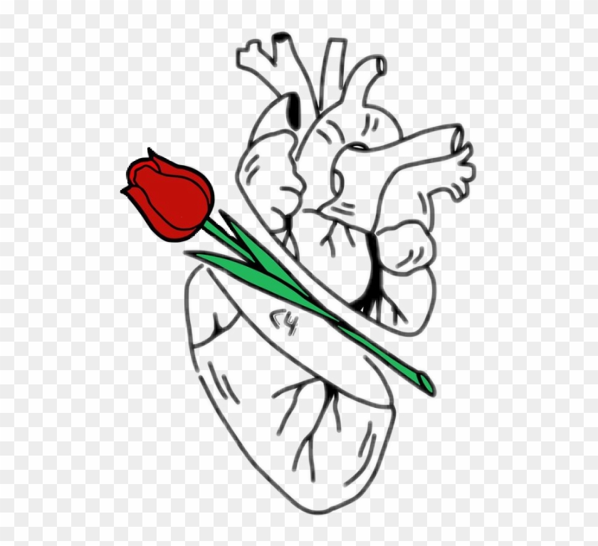 #tumblr #tattooday #flower #sunset #sunflower #tattoo - Medicina Dibujos Artisticos Clipart