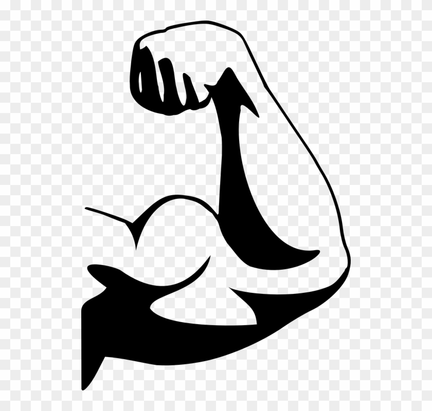 Muscular Strength Cliparts - Biceps Clipart - Png Download