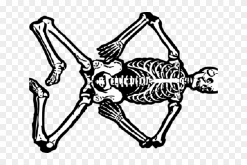 Clip Art - Png Download