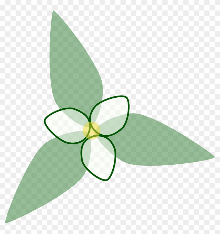 Flower Design Floral Pattern Png Image - Diseño Flor Png Clipart
