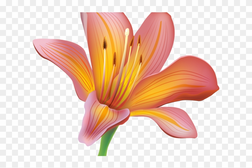 Free Easter Lily Clipart - Flor De Lirio Png Transparent Png #3095004