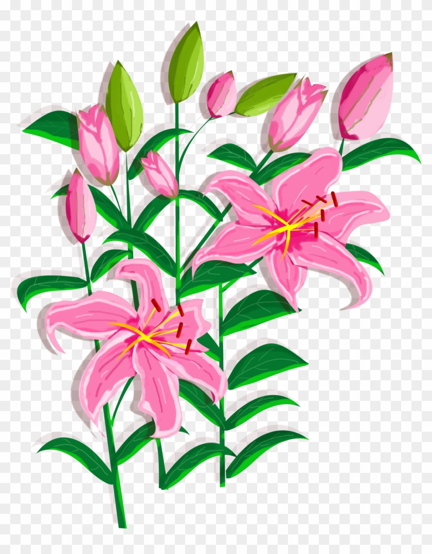 Lily Flower Design Element Png And Psd - Stargazer Lily Clipart #3095856