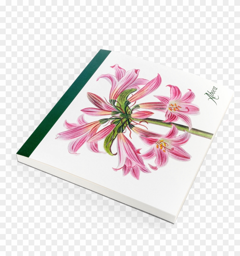 Picture Of Flower Desk Belladonna Lily - Gerbera Clipart