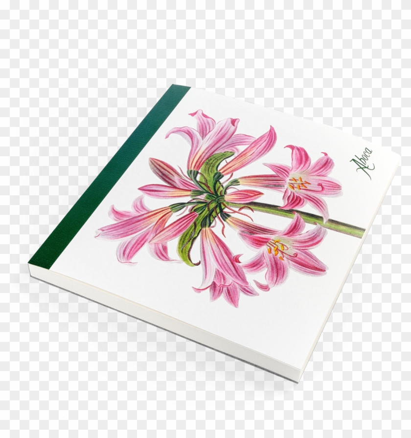 Picture Of Flower Desk Belladonna Lily - Gerbera Clipart #3095914