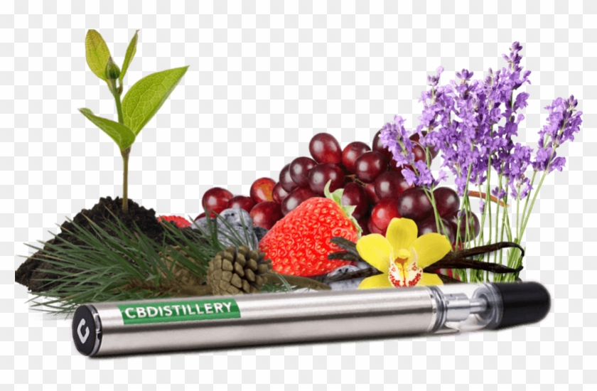 Cbd Vape Pen, 200 Mg - Cannabidiol Clipart #3096237