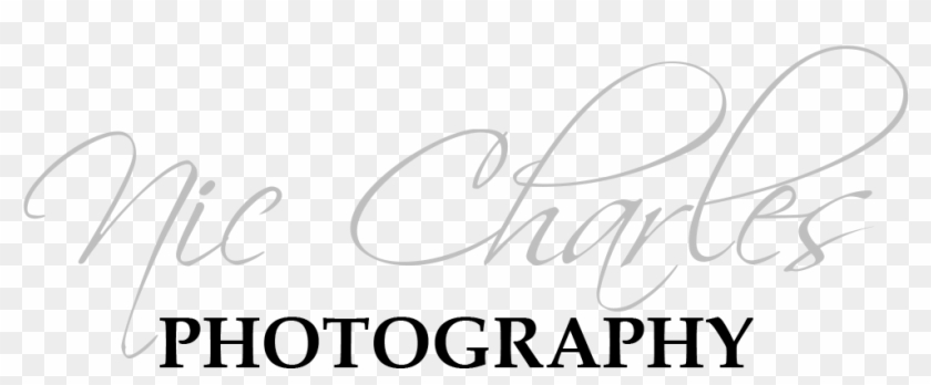 Join Us For A Ribbon Cutting To Celebrate The Opening - Calligraphy Clipart #3098059