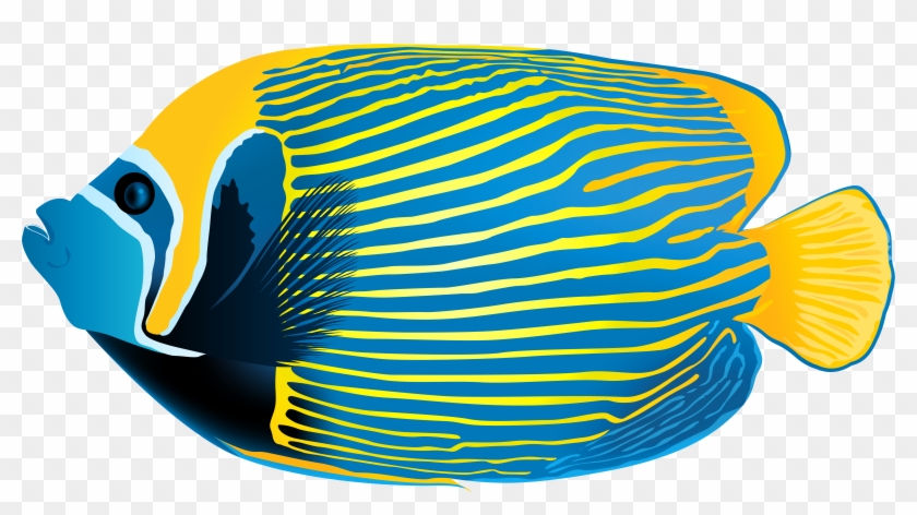 Image Library Background Huge Freebie Png - Emperor Angelfish Clipart Transparent Png