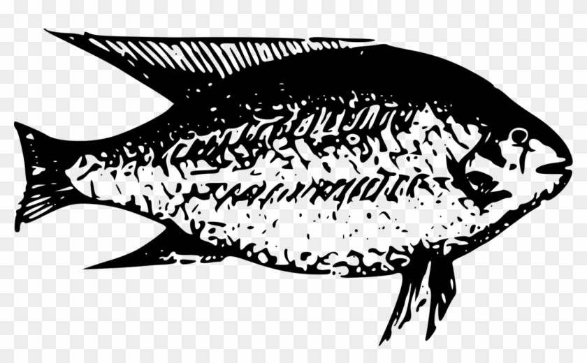 Excelent Fish Clipart Black And White Fresh Water Ikan Air Tawar Clipart Png Download 3098529 Pikpng