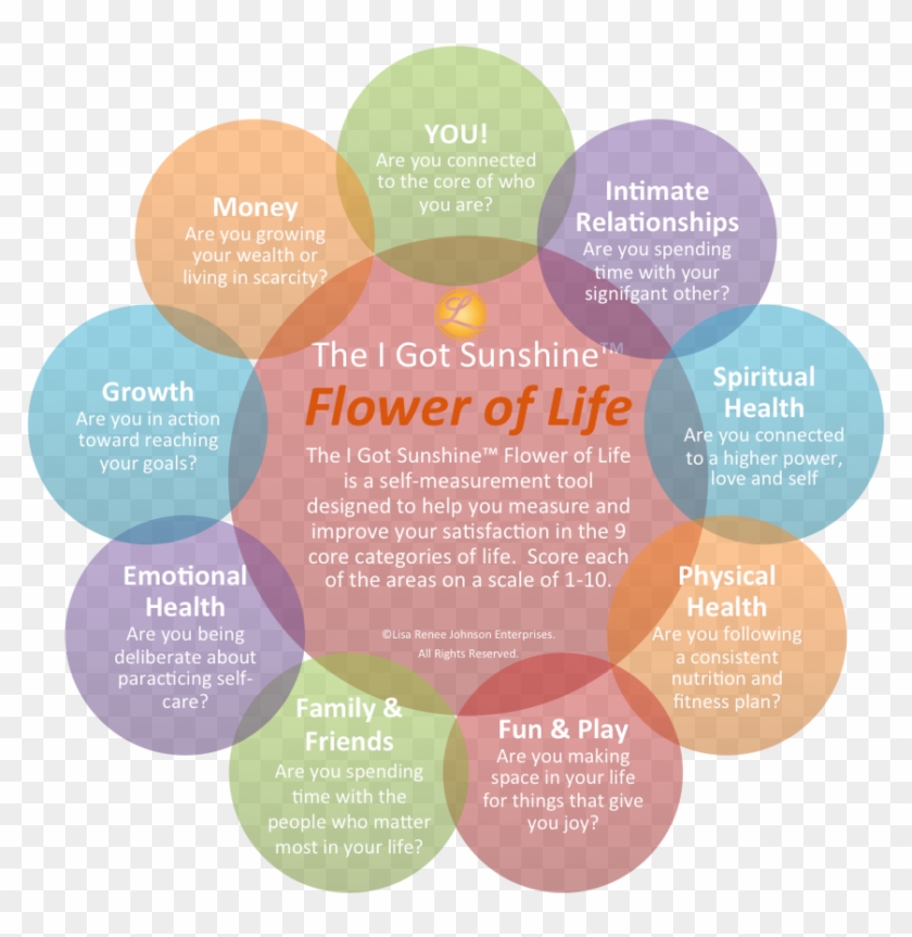 After Assessing These Nine Core Areas, The Tool Brings - Graphic Design Clipart #310117