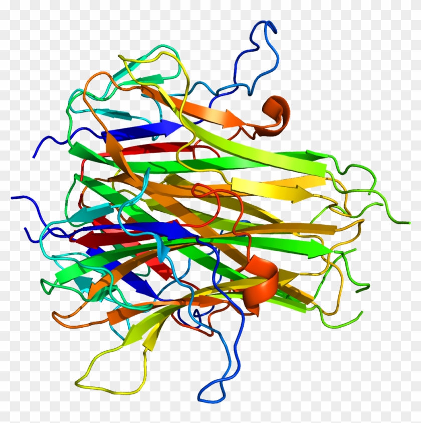 Protein Tnfsf15 Pdb 2o0o - Graphic Design Clipart #310179